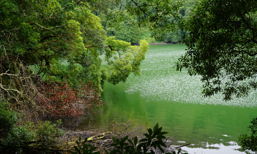 Sao Miguel Lagoa do Congro